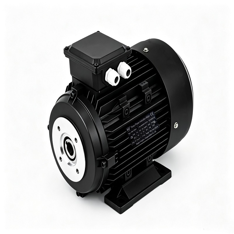 HONGMA HMH Series 7.5kw 10HP High Pressure Cleaners Motor With Hollow Shaft Three Phase