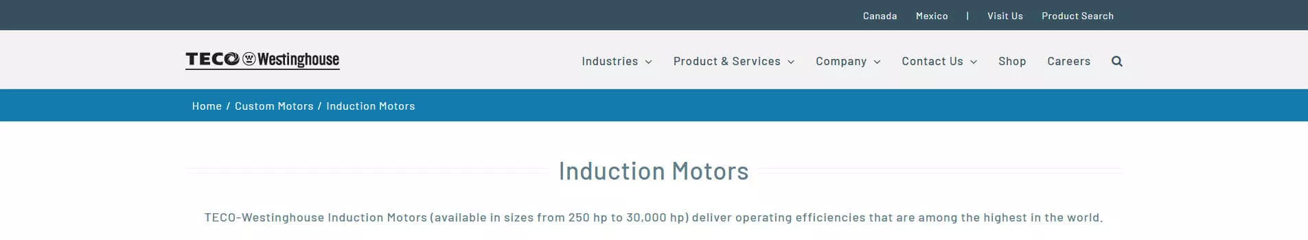 TECO-Westinghouse AC Induction Motor Manufacturer