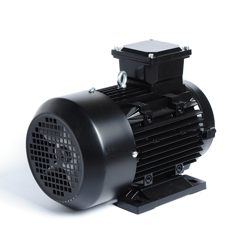 Hongma 50Hz 3000RPM  3KW 4HP Three Phase IE5 Efficiency IP54/IP55 Protection Aluminum Shell Electric Motor 