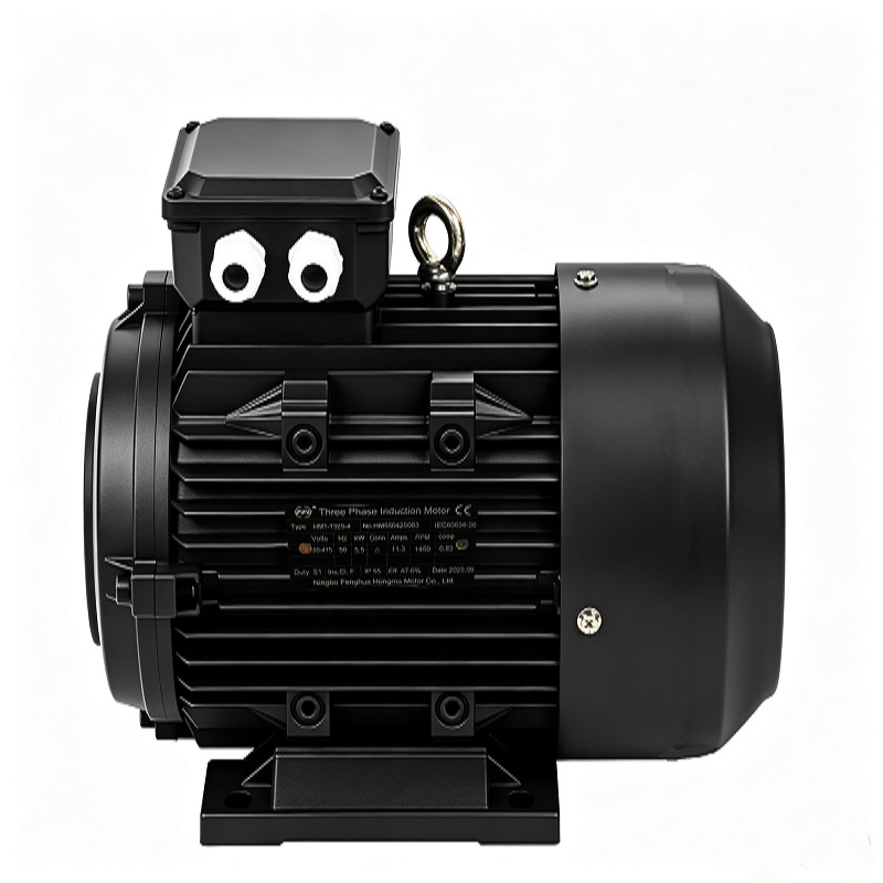 Hollow Shaft Three-Phase Induction Motor for hydraulic Pumps High Efficiency 100% Pure Copper Winding