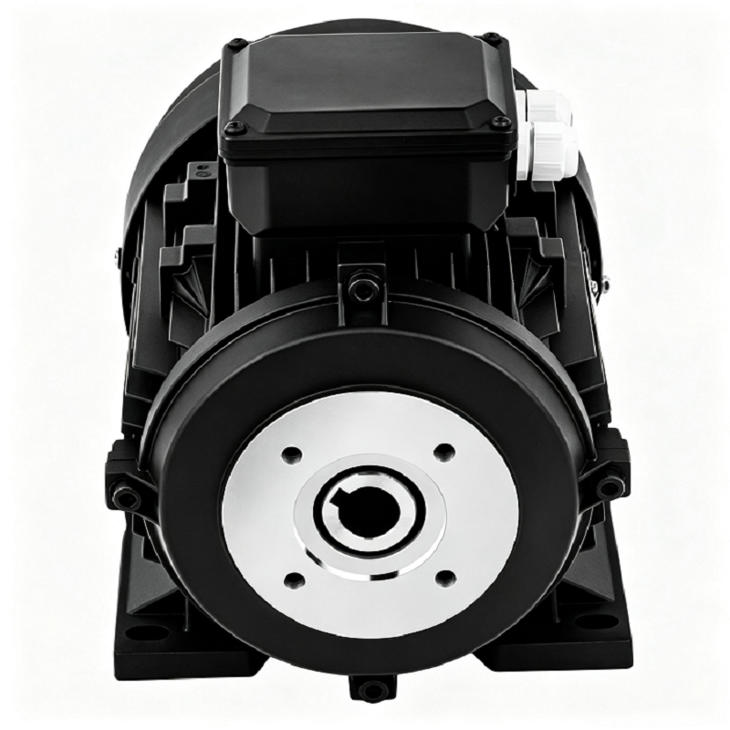 Hollow Shaft Three-Phase Induction Motor for hydraulic Pumps High Efficiency 100% Pure Copper Winding
