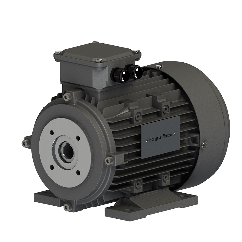 HONGMA HMH Series 7.5kw 10HP High Pressure Cleaners Motor With Hollow Shaft Three Phase