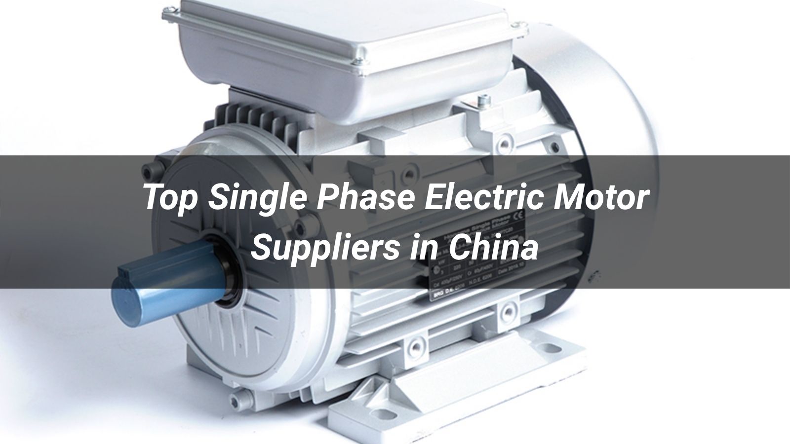 Top 10 Single Phase Electric Motor Suppliers in China 2026