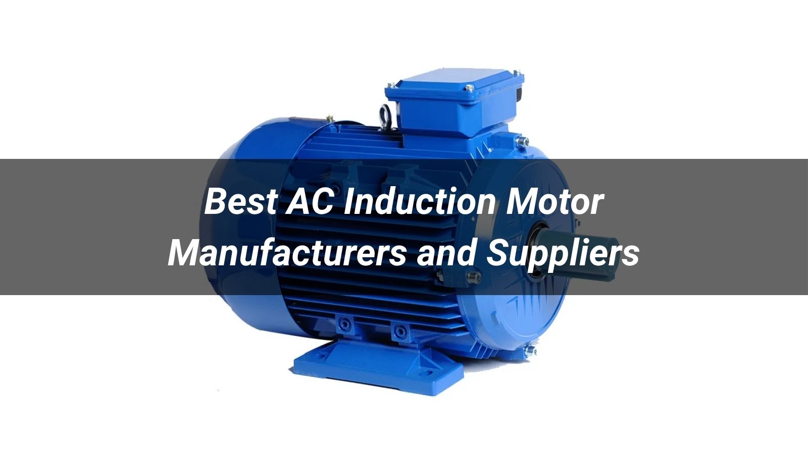 Best 10 AC Induction Motor Manufacturers and Suppliers in 2026