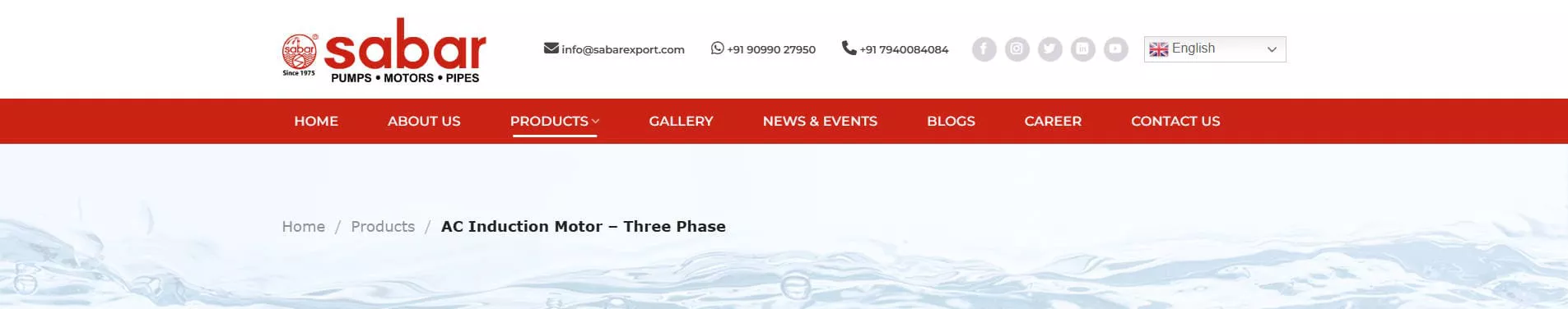 Three Phase AC Induction Motor Manufacturer Sabar Pumps India