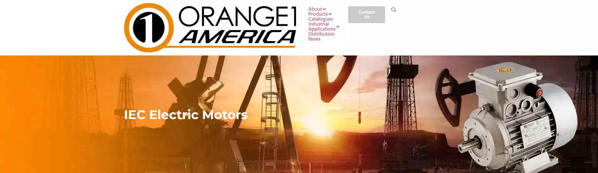 Top Induction Motor Suppliers in Italy 2026 - Orange1