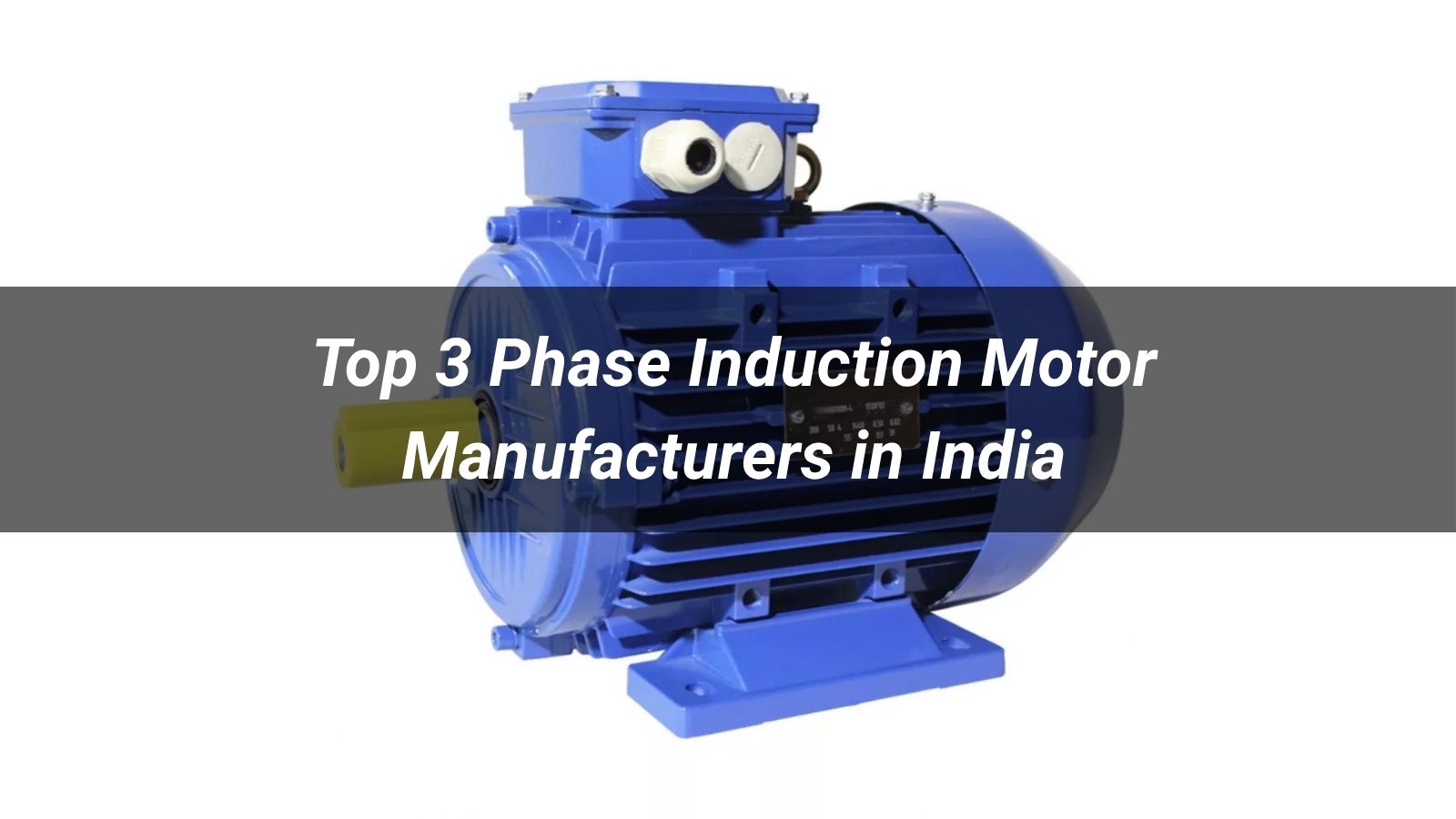 Top 5 3 Phase Induction Motor Manufacturers in India 2026