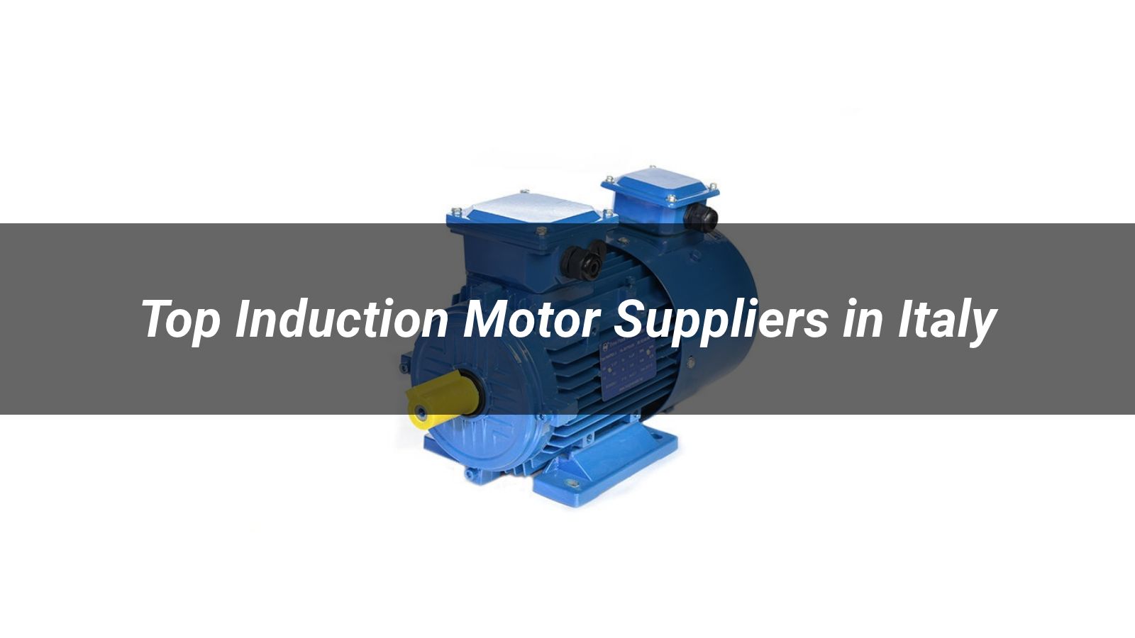 Top 5 Induction Motor Suppliers in Italy 2026: Compare Leading Italian Manufacturers