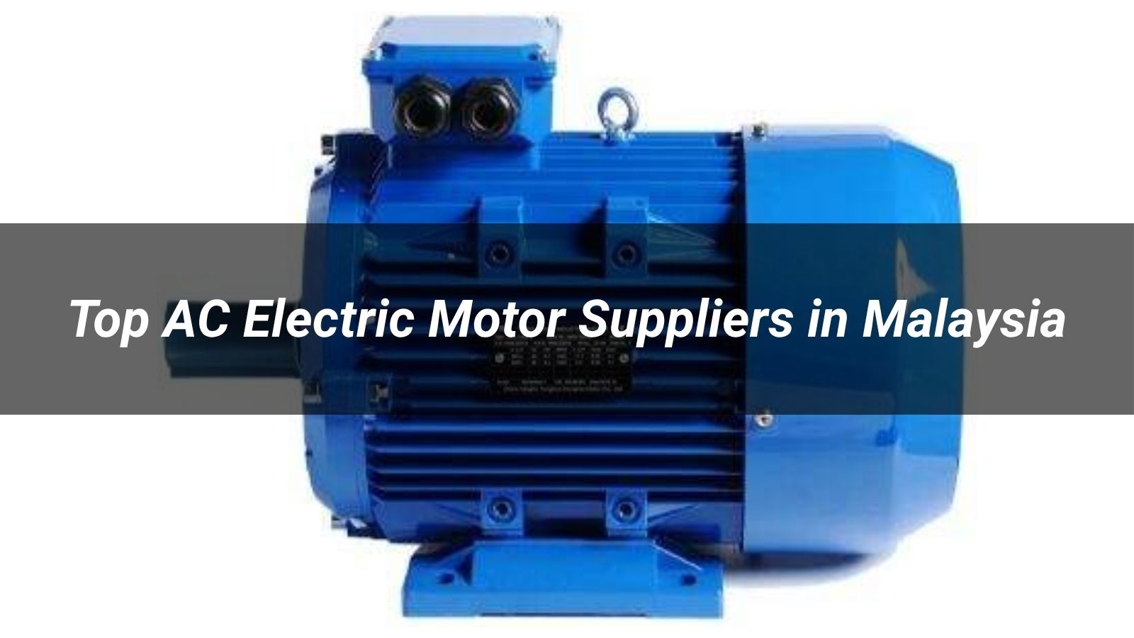 Top 5 AC Induction Electric Motor Suppliers in Malaysia (2026)