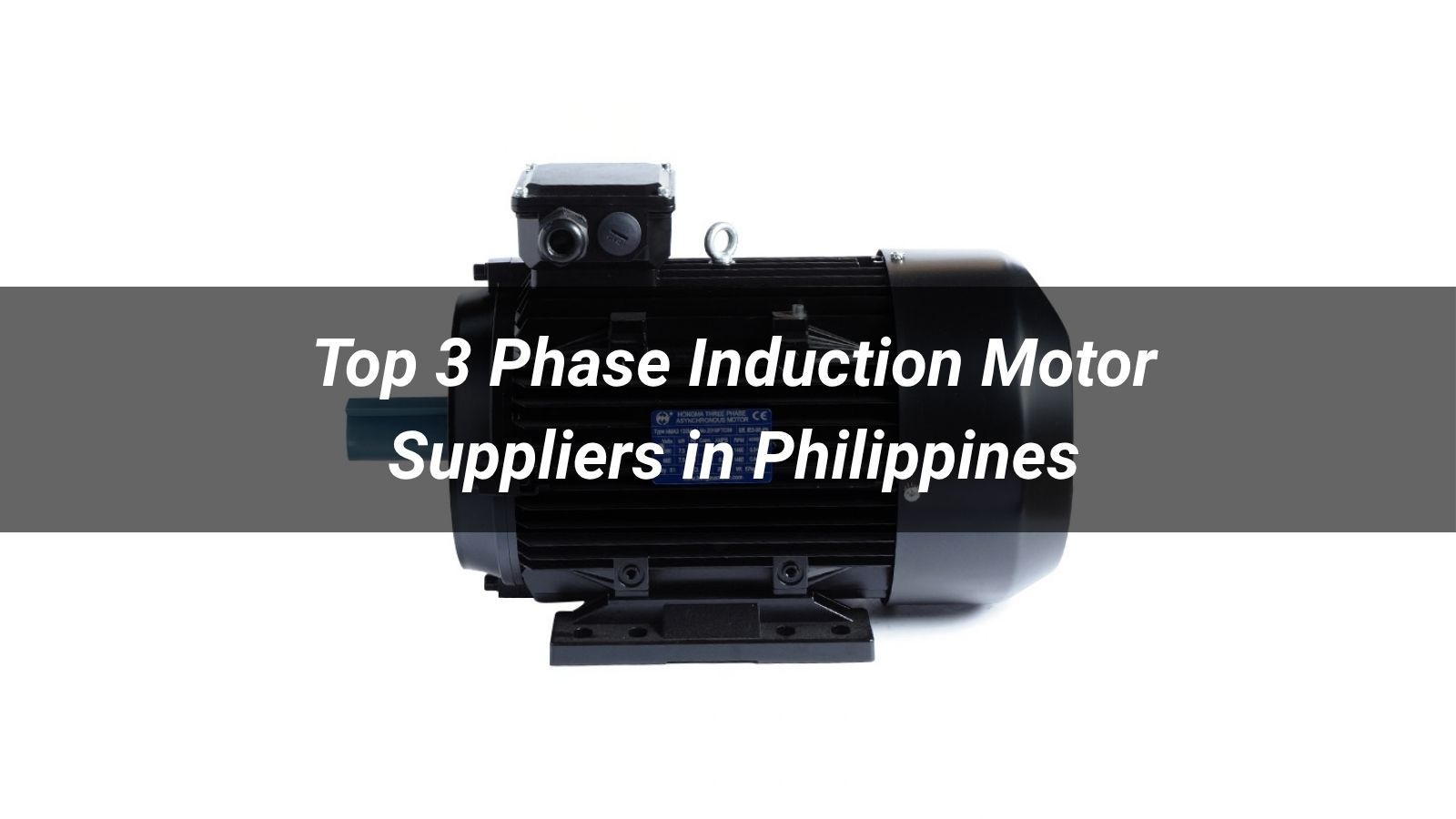 Top 5 3 Phase Induction Motor Suppliers in Philippines 2026